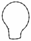 Engine Water Pump Gasket-35873