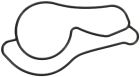 Engine Water Pump Gasket-35888
