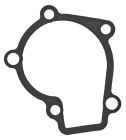 Engine Water Pump Gasket-35923