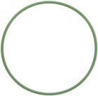 Fuel Injection Throttle Body Mounting Gasket-61594