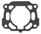 Fuel Injection Throttle Body Mounting Gasket-61610