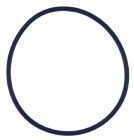 Fuel Injection Throttle Body Mounting Gasket-61616