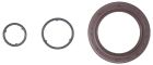Engine Crankshaft Seal Kit-TCS 46129