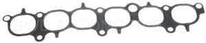 Fuel Injection Plenum Gasket-50025