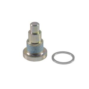 Engine Timing Chain Guide Bolt-5499GMB