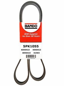 Accessory Drive Belt-5PK1055-1567376