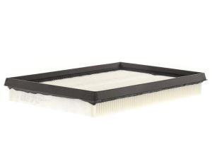 Engine Air Filter-FDA10677-10740189