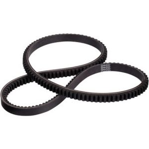 Accessory Drive Belt-17313-7961548