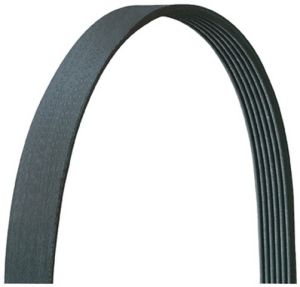 Serpentine Belt-5080715DR-7960532